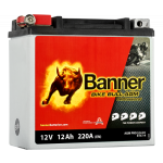 BIKE BULL AGM PROFESSIONAL 12V